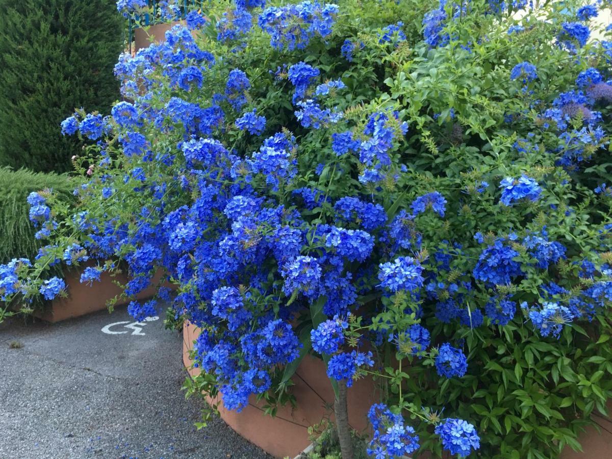Fleur De Mai Διαμέρισμα Roquebrune-Cap-Martin Εξωτερικό φωτογραφία